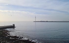 Arinaga Arena Y Mar Beach